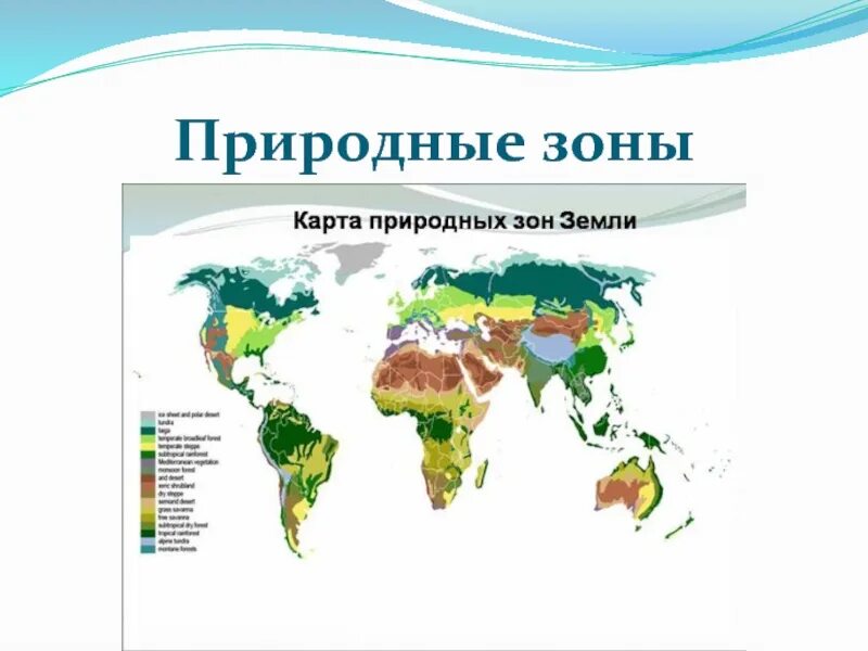 Сделай карту природных зон. Природные зоны земли карта. Карта природных зон земли 6 класс.