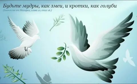 Будьте мудры как змеи