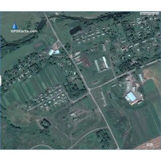Спутник орел