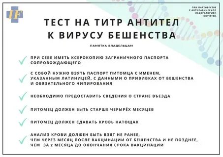 Антитела к бешенству