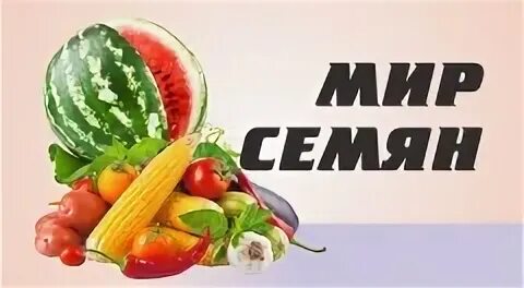 Мир семян интернет