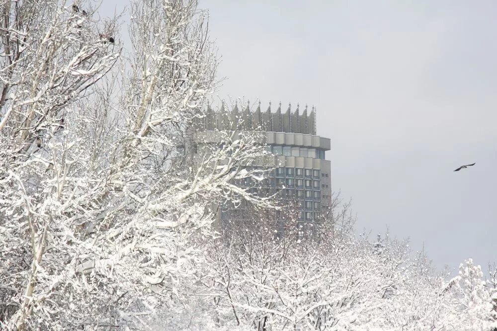 Погода в алматы в марте 2024 года. Алматы снег. Алматы зима. Алматы зимой. В Алматы выпал снег.