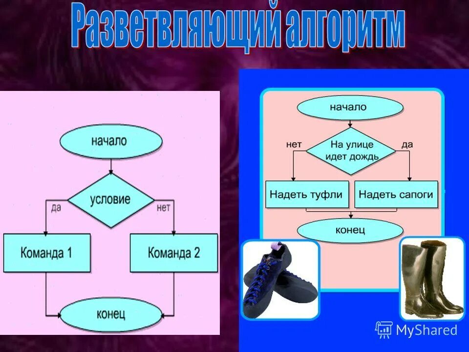 Алгоритмы информатика доклад