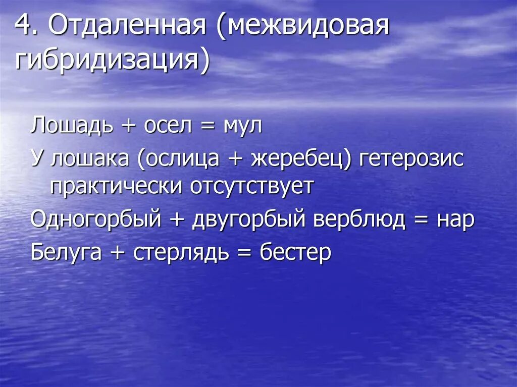 5 отдаленная гибридизация. Отдаленная гибридизация презентация. 4) Отдалённая гибридизация. Мул отдаленная гибридизация. Отдаленная.