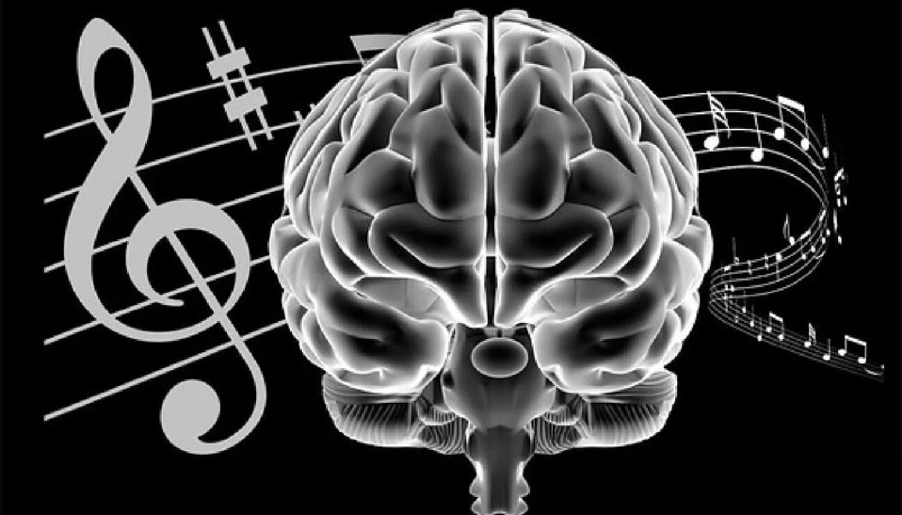 Влияние музыки на память. Мозг музыканта. Мозг с наушниками. Музыкальные картинки. Звук и мозг.