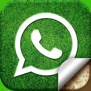 Картинки для аватарки whatsapp