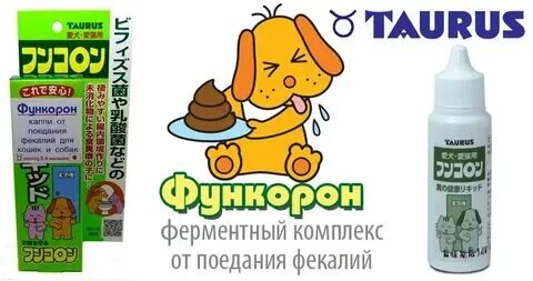 Почему собака есть калл