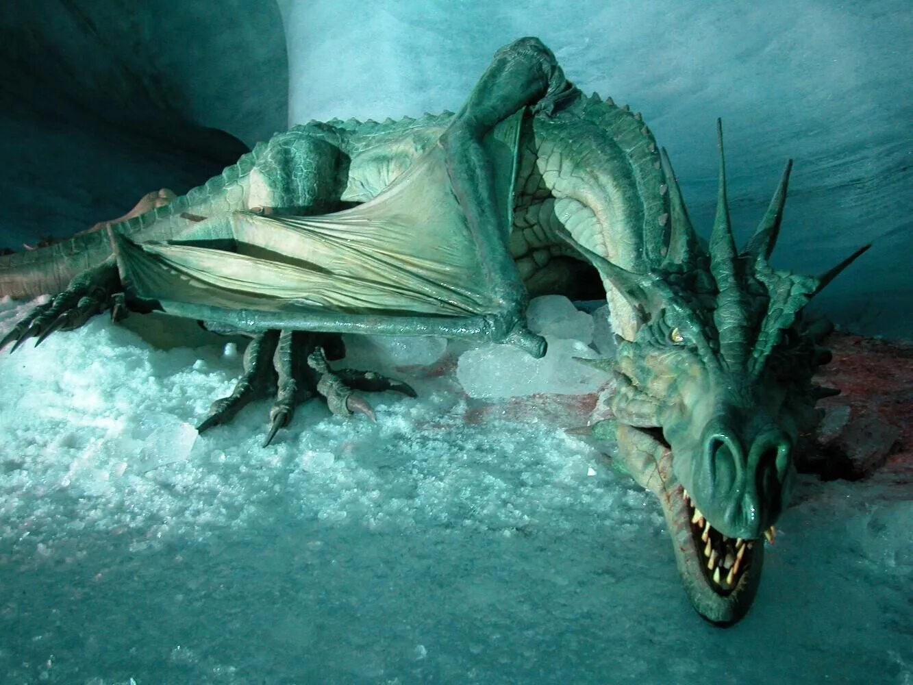 Драконы в реальной жизни. Как выглядит реальный дракон. Дракон реальный. Дракон в ряльнаи жизни. Драконы в реальной жизни.