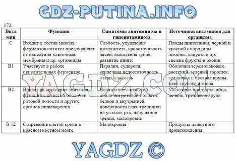 Биология 8 класс лабораторные работы ответы