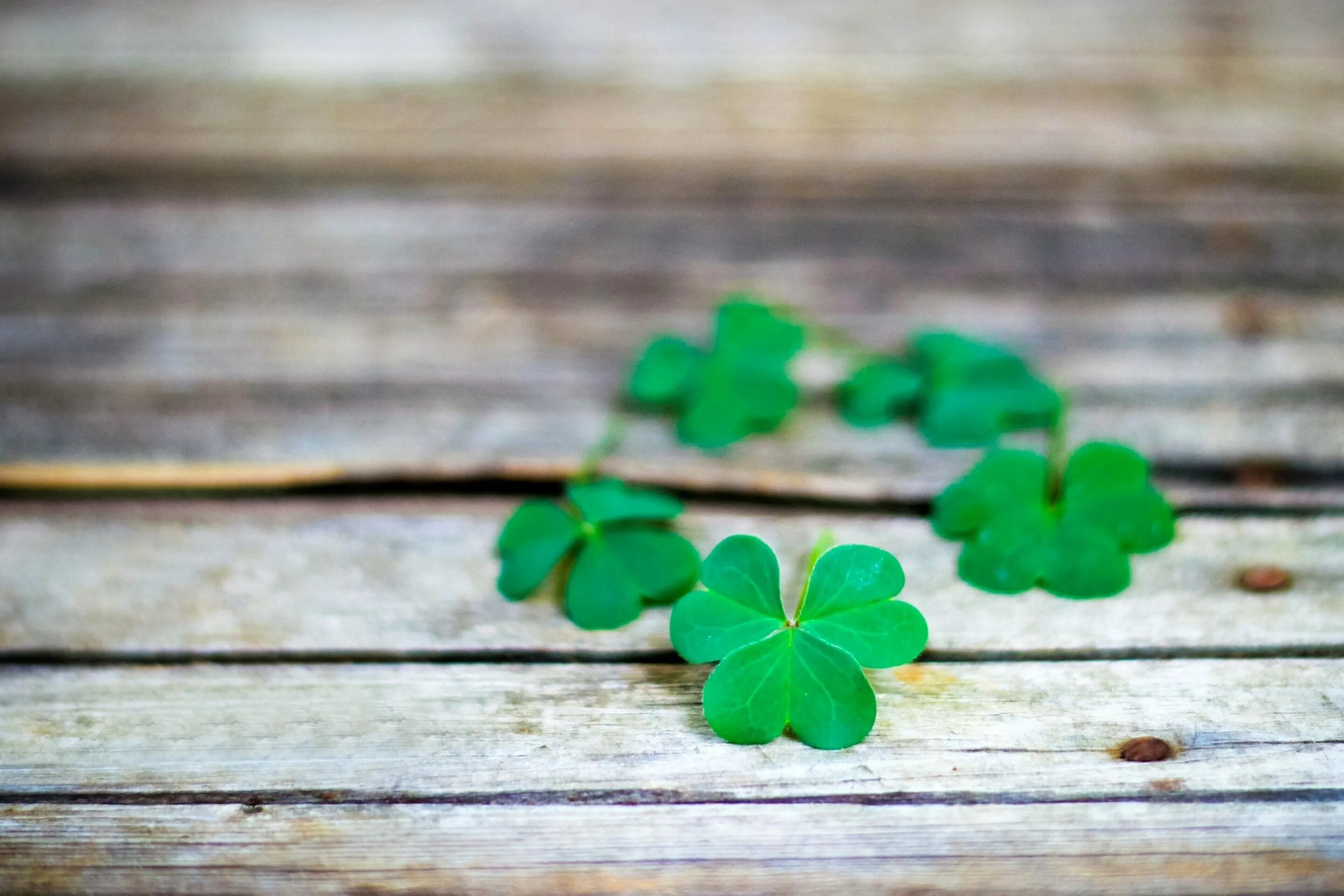 Clover kext