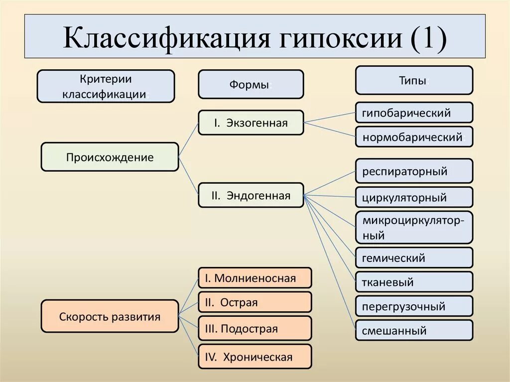 Гипоксия классификация гипоксий. Классификация типов гипоксии. Классификация гипоксических состояний. Характеристика типов гипоксии. Понятия систематики