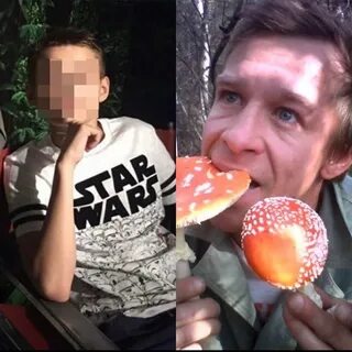 Папа гриб