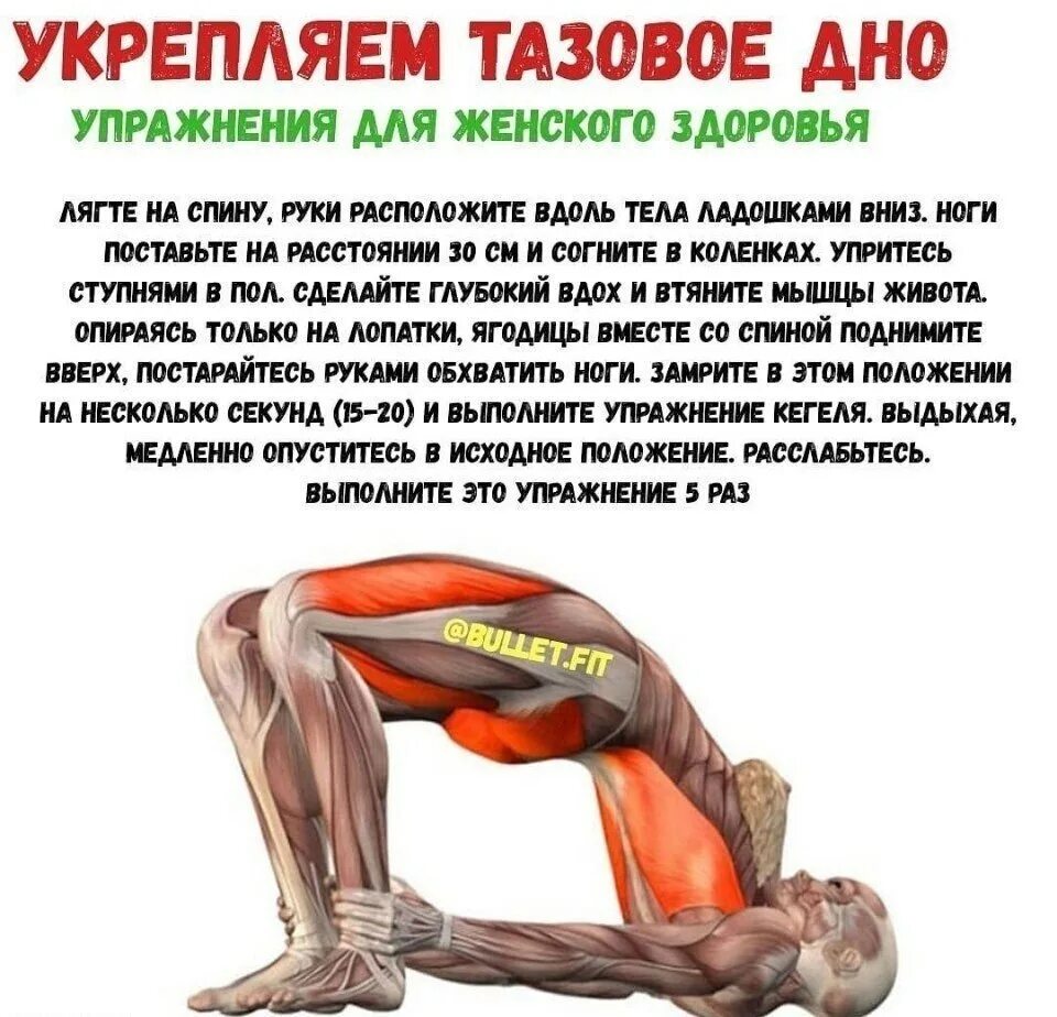 Гимнастика для тренировки мышц малого таза.. Крепление мышщц тазового дня. Упражнения для СВШЦ тащового Деа. Упражнения для мышц тазового дна.