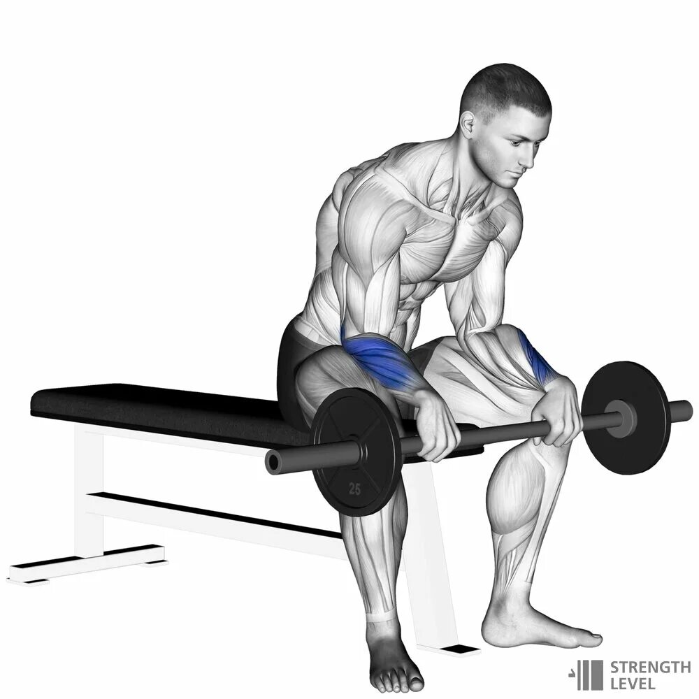 Curl method ружейный. Curl method ружейный