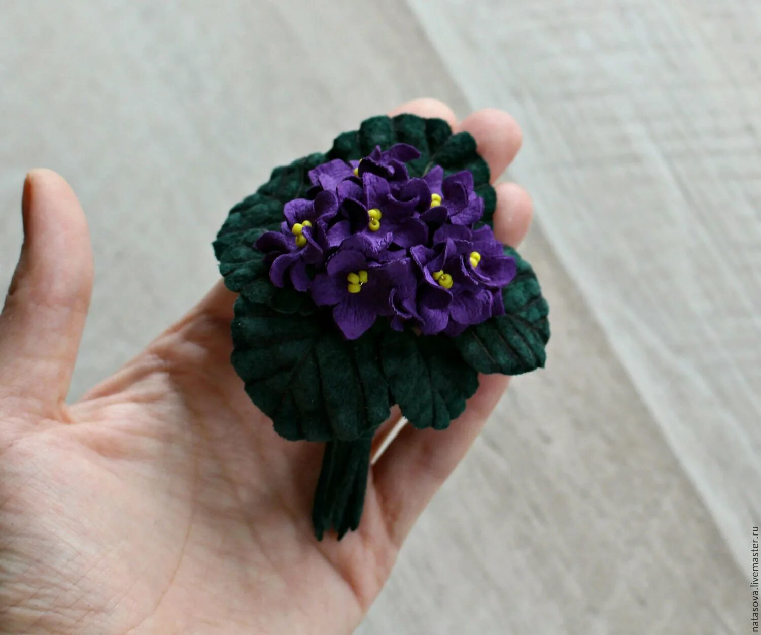 Сенполия рс бархат ночи. Рс-черный бархат фиалка. Фиалка бархат ночи. Фиалка ек черная магнолия. Фиалка звездный бархат.