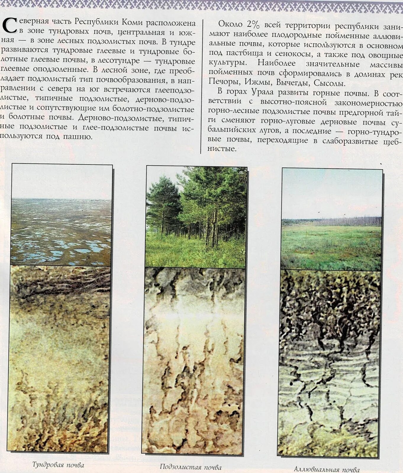 Подзолистые почвы схема. Какие почвы в Республике Коми. Болотно-подзолистые почвы. Дерново-подзолистые почвы профиль.