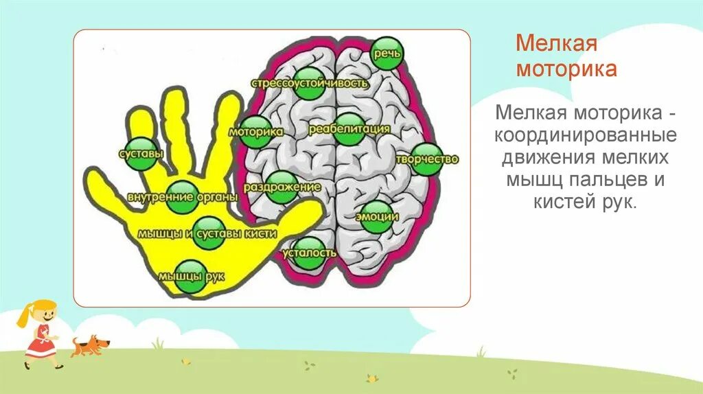 Мелкая моторика и мозг. Мелкая моторика и речь. Мелкая моторика и речь взаимосвязь. Общая и мелкая моторика схемы.