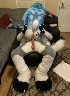 Gay murrsuit