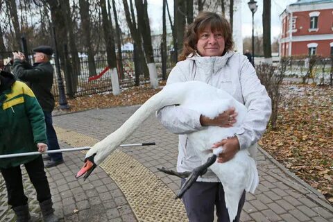 Погода белые пруды волгоградской