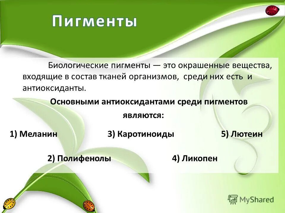 Типы хлорофилла у растений. Пигменты фотосинтеза хлорофилл каротиноиды. Разделение основных пигментов из экстракта листьев метод. Пигменты листа растения. Хлорофилл каротин антоциан.