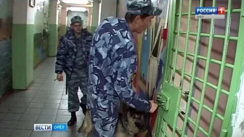 Сторожа в орле