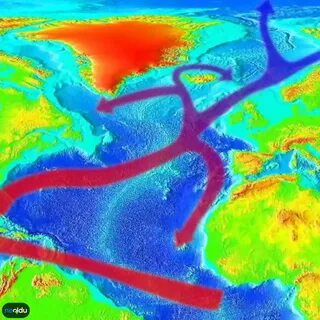 Самое известное холодное течение