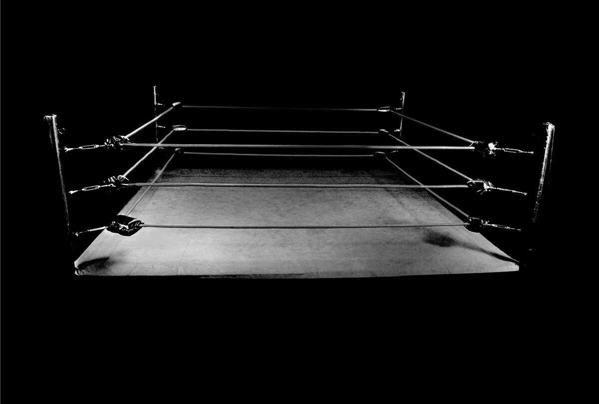 Wrestling ring