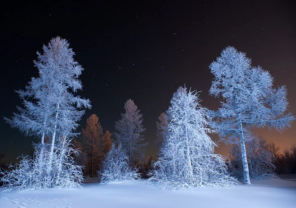 мороз ночью. зимний вечер. морозный вечер. зимняя тайга ночью. морозная ночь.