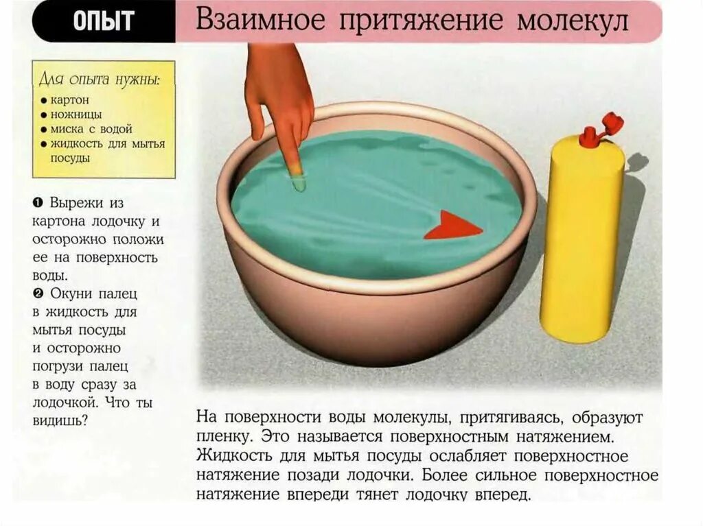 Обмакнуть в воду. Эксперименты с мылом. Емкость с водой для экспериментов. Домашняя лабораторная работа взаимное Притяжение молекул. Эксперимент с картоном и водой.