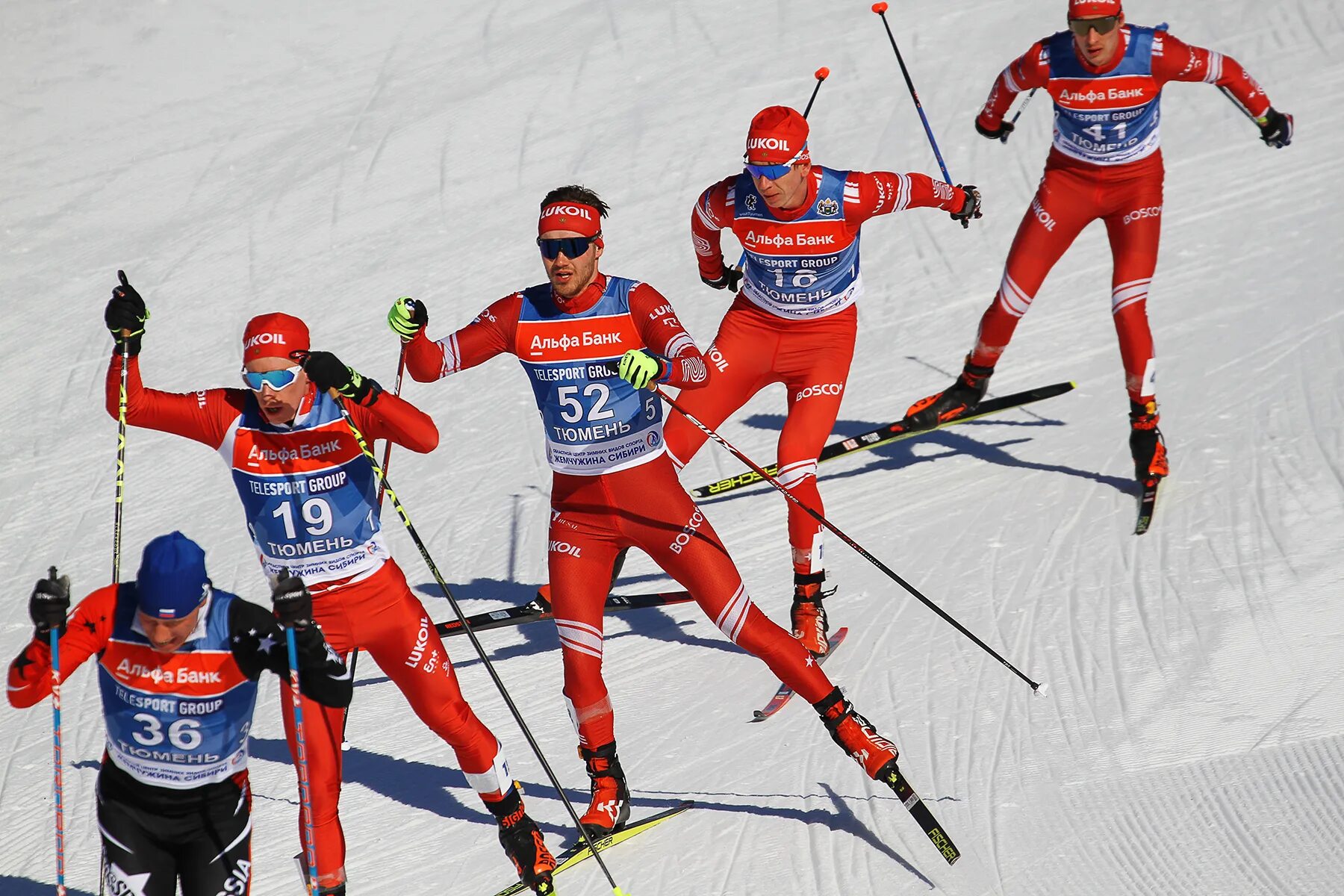 Лыжные гонки 2010-2011 бийск. Лыжные гонки тюмень февраль. Лыжные гонки олимпийские игры. Жемчужина сибири чемпионат россии по лыжам. Лыжные гонки тюмень февраль.