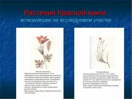 Пропавший цветок