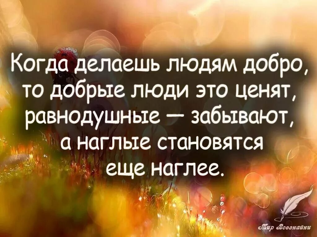 Цитаты про добро. Добрые афоризмы. Добра афоризмы. Высказывания о помощи. Цените тех высказывания