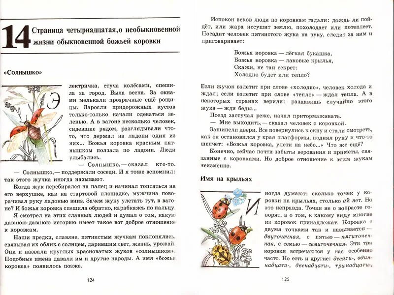 Рассказ солнышко окружающий мир 2 класс