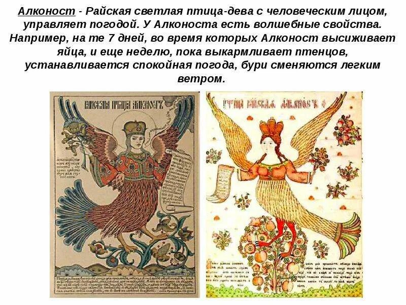 Сирин алконост гамаюн билибин. Сирин и алконост. Птица сирин и птица алконост. Сирин алконост гамаюн. Сирин алконост гамаюн билибин.
