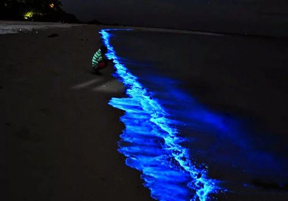 Glowing beach