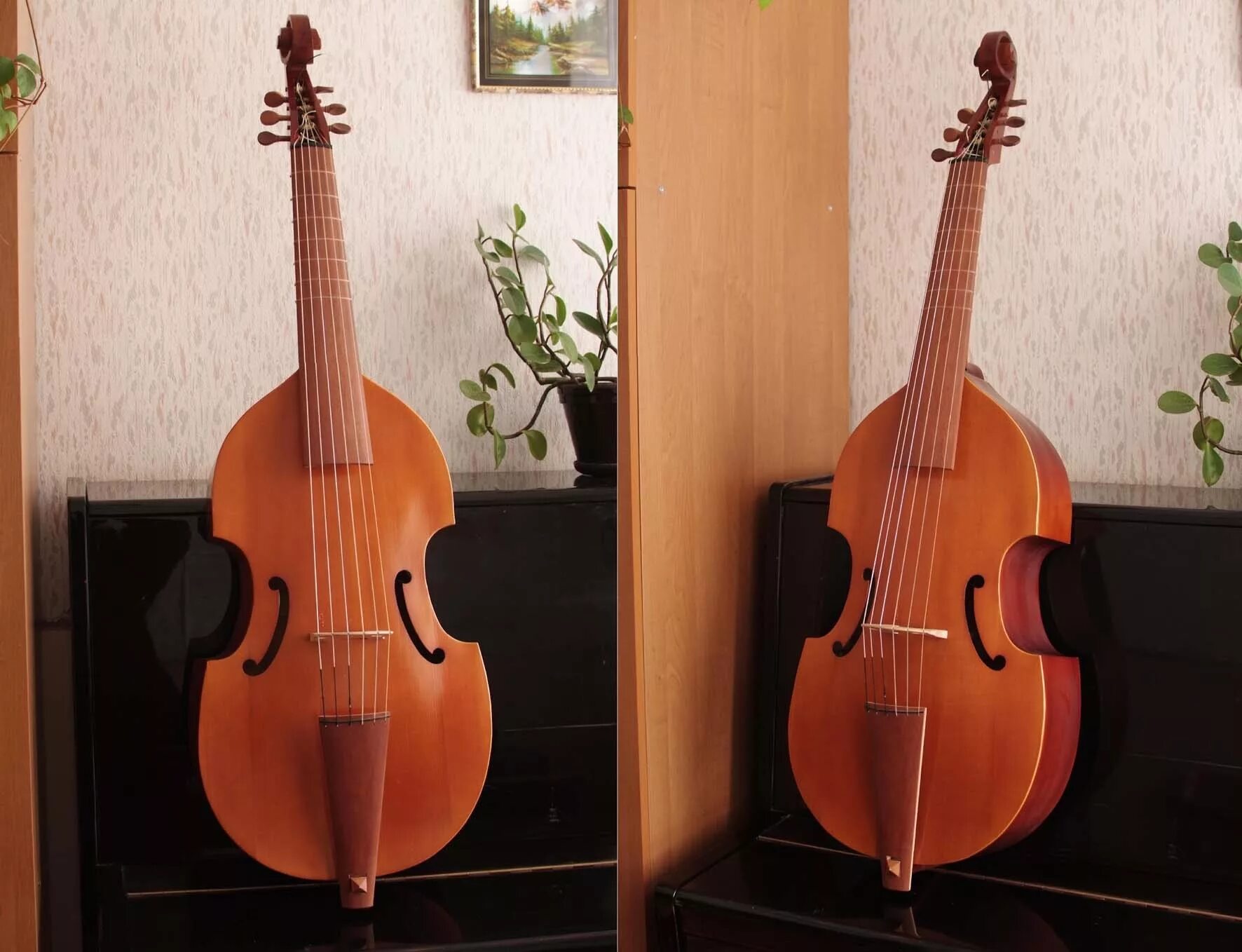 L5s гитара. Лютня мандолина. Маленькие гитары. Мандолина струнные щипковые музыкальные инструменты. Струнные инструменты мандолина.