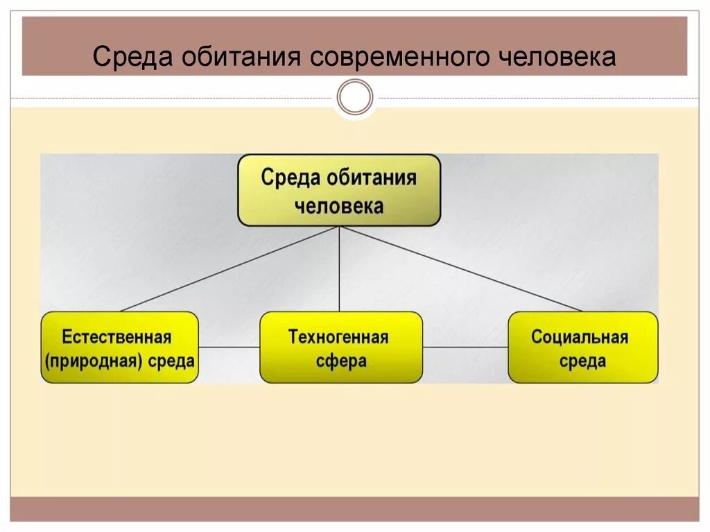 Среда обитания современного человека. Современная специфика среды обитания. Схема обитания человека. Элементы среды обитания человека.