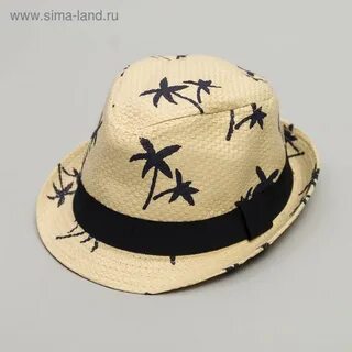 Мир панам