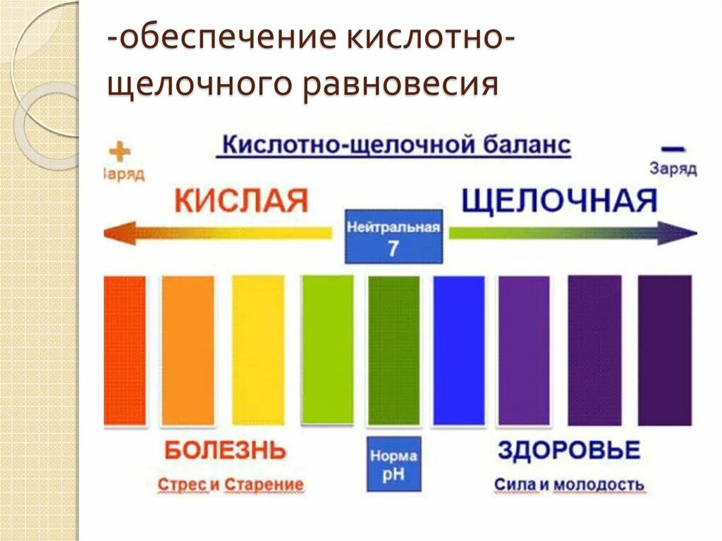 Кислотно щелочная шкала PH. Кислотно-щелочной баланс норма PH. Показатели PH кислой и щелочной среды. Буферность кислотнощелочноо баланса. Щелочная и кислая вода