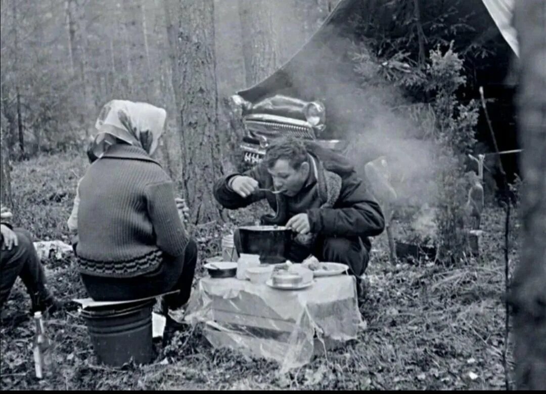 Человек которого знает весь мир. Пикник в лесу. Советские пикники на природе.