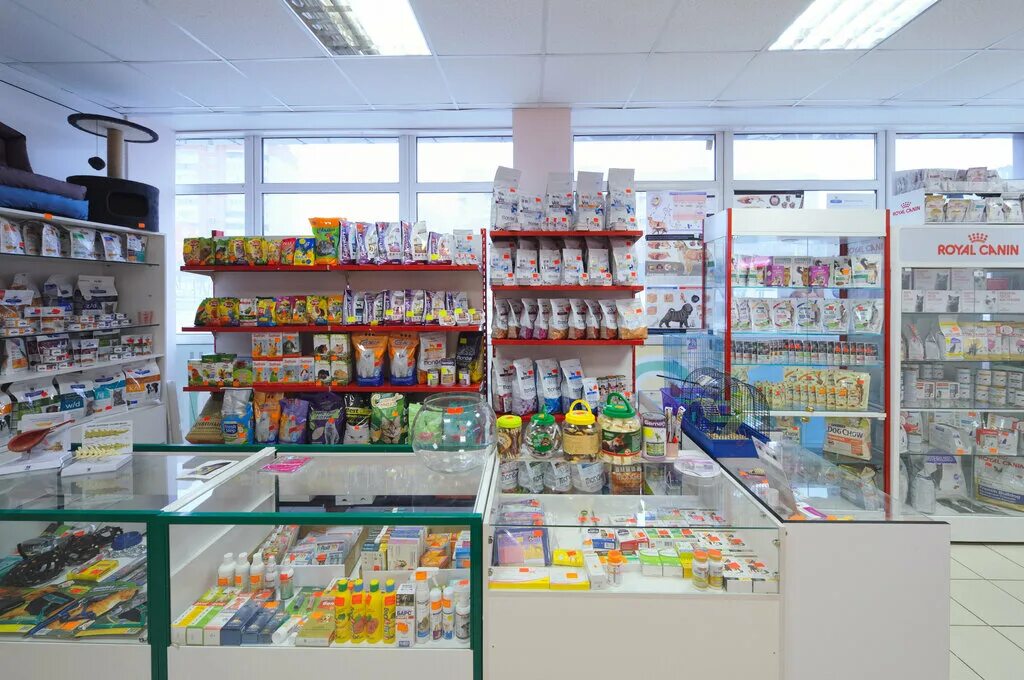 воронеж бульвар победы 50 зверополис. воронеж бульвар победы 50 зверополис. воронеж бульвар победы 50 зверополис. зверополис, воронеж, бульвар победы. зверополис ветклиника воронеж.