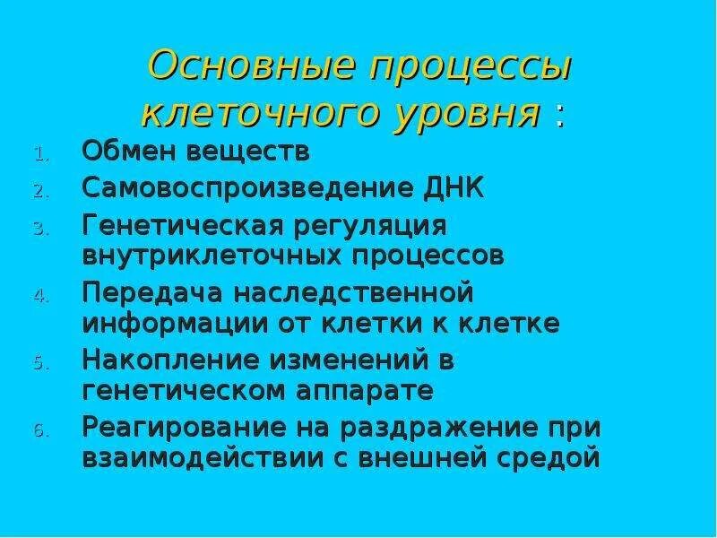 Основной процесс клеточного обмена