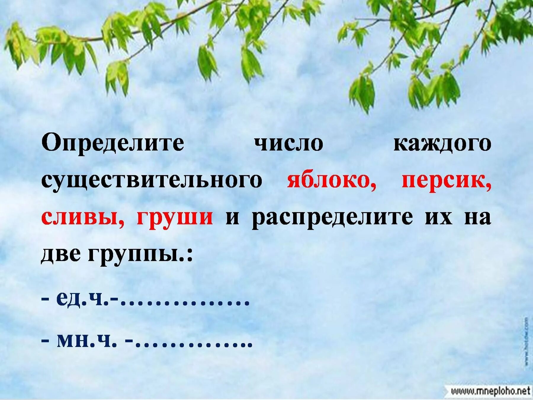 Число слова сам. Род имен существительных. Род имён существительных 3 класс. Презентация род имён существительных презентация 2 класс. Каждый это существительное.