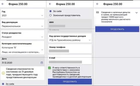 Форма 250 декларация в рк срок сдачи