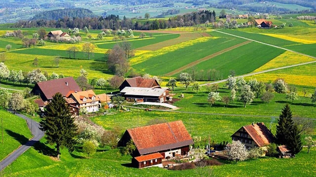 The country s main. Country картинки. Country countryside разница. In the Country. Contary.