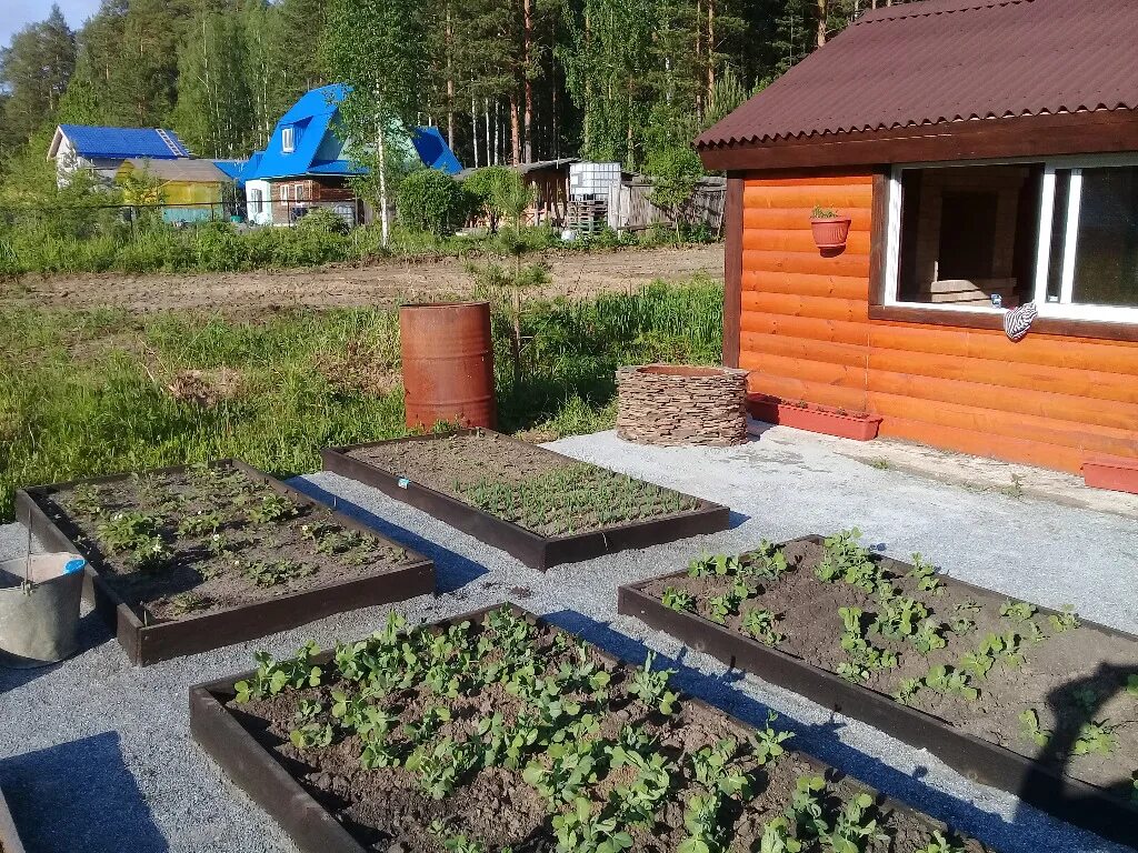 СНТ плодоовощ горный щит. 7 Я дача горный щит. Садовая 12 горный щит. Дачи в Горном щите продать недорого. Купить дачу горный