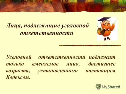 Вменяемое лицо достигшее возраста уголовной ответственности