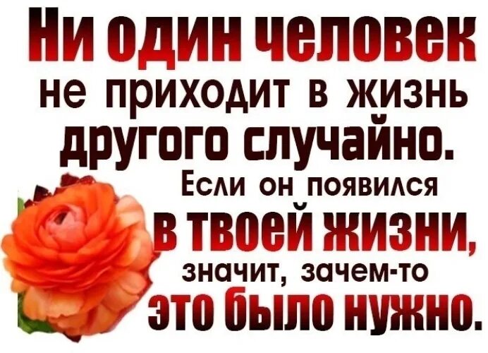 Случайно нету