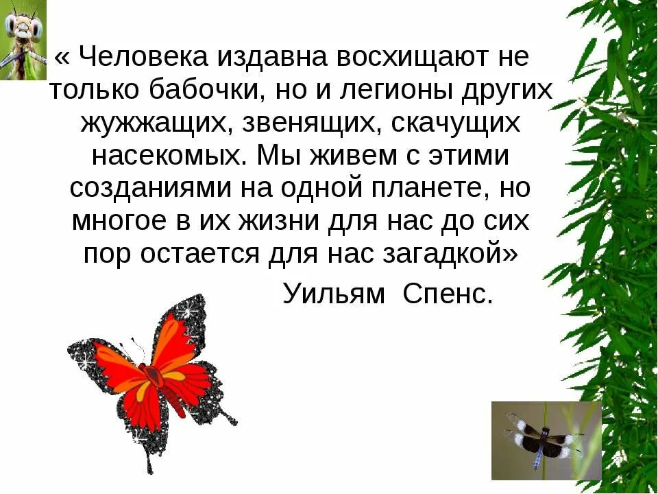 Некоторых животных люди издавна