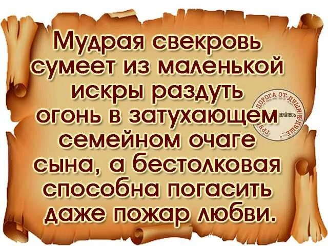 Обсуждают родственники. Статусы про свекровь. Цитаты про свесвексвекро. Цитаты про свекровь. Афоризмы про свекровь.